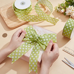 Polyester Ribbons&nbsp;OCOR-WH0120-11A