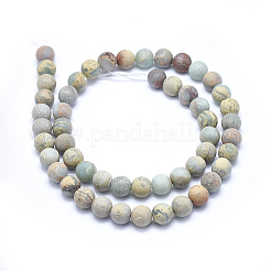 Natural Aqua Terra Jasper Beads Strands&nbsp;G-N0128-48F-8mm