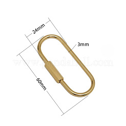 Brass Screw Carabiner Lock Charms&nbsp;KK-ZX025-61C
