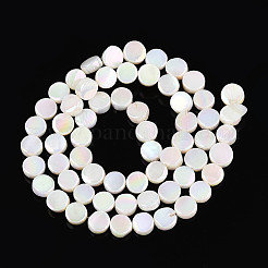 Electroplated Natural Freshwater Shell Beads Strands&nbsp;SSHEL-T017-31