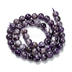 Natural Amethyst Beads Strands&nbsp;LS-G-S030-7.5mm