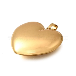 304 Stainless Steel Pendants&nbsp;LS-STAS-H200-01G-05