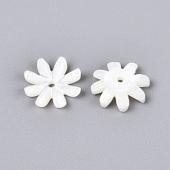 Natural Trochus Shell Beads&nbsp;SHEL-Q028-05