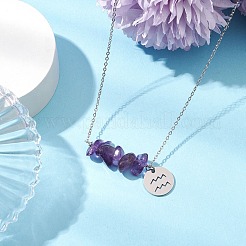 天然アメジストチップと星座ペンダントネックレス  304ステンレススチールアズキチェーンネックレス  ステンレス鋼色  水瓶座  16.93インチ（43cm）&nbsp;NJEW-JN05084-11