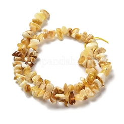 天然琥珀ビーズ連売り  チップ  7~10x5~9x4~6mm  穴：0.5mm  約89~90個/連  13.98インチ（35.5cm）&nbsp;G-L095-N01-03