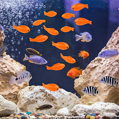 36Pcs 3 Styles Fish Resin Ornaments&nbsp;RESI-CN0001-03