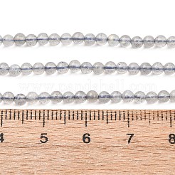 Natural Labradorite Beads Strands&nbsp;G-H358-A13-3mm-01