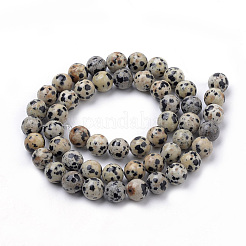 Natural Dalmatian Jasper Beads Strands&nbsp;G-S259-24-6mm