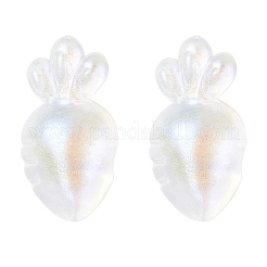 Transparent Acrylic Pendants&nbsp;OACR-P007-41