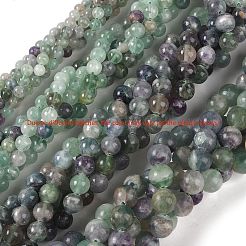 Natural Fluorite Beads Strands&nbsp;G-P530-B04-03
