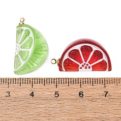 Opaque & Transparent Resin Pendants&nbsp;RE-CBA014D-02G