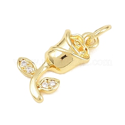 Valentine's Day Brass Micro Pave Clear Cubic Zirconia Pendants&nbsp;KK-D258-43G-02