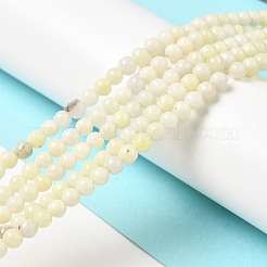 Natural Jade Beads Strands&nbsp;G-H298-A04-01