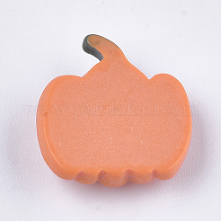 Resin Cabochons&nbsp;CRES-T011-49