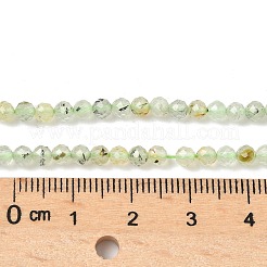 Natural Prehnite Beads Strands&nbsp;G-S300-12-3mm-01