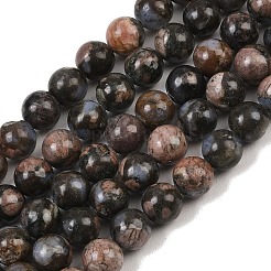 Natural Glaucophane Beads Strands&nbsp;G-R485-12-8mm