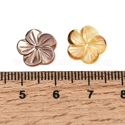 天然の黒リップシェル彫刻ビーズ  花  11.5x12x1.5~2.5mm  穴：1mm&nbsp;SHEL-A006-11C