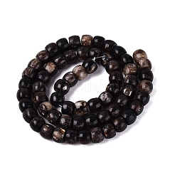 Natural Biotite Beads Strands&nbsp;G-Q616-02A-11