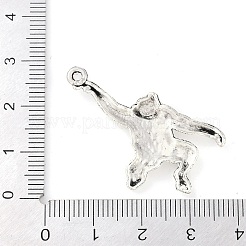 チベットスタイル合金オランウータンペンダント  カドミウムフリー＆鉛フリー  アンティークシルバー  26x30x4mm  穴：2mm&nbsp;TIBEP-5232-AS-LF