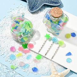 120g Luminous Acrylic Beads&nbsp;OACR-SP0001-79A