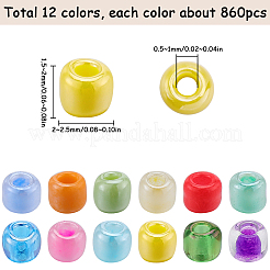 156g 12 Style Glass Seed Beads&nbsp;SEED-SC0001-32A-05