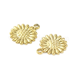 304 Stainless Steel Charms&nbsp;STAS-L269-062G