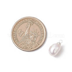 天然養殖淡水真珠ライスチャーム  真鍮のベイルと  ホワイト  銀  12.5~13x6.5~7.5mm  穴：1.6mm&nbsp;PALLOY-JF04822
