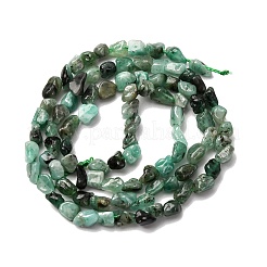 Natural Emerald Beads Strands&nbsp;G-I389-A41