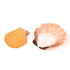 Natural Scallop Shell Beads&nbsp;SSHEL-N040-04