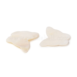 Natural Shell Connector Charms&nbsp;BSHE-H018-12