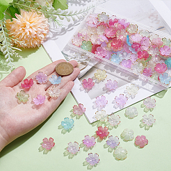 アクリルビーズキャップ3袋  花  ミックスカラー  18x18.5x6mm  穴：1.6mm  50個/袋&nbsp;DIY-ME0001-91