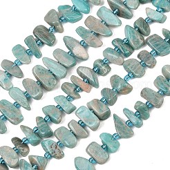 Natural Amazonite Beads Strands&nbsp;X-G-P619-A04-01
