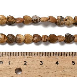 天然石ピクチャージャスパービーズ連売り  ハート  5.5x6~6.5x2.5~3mm  穴：0.7mm  約69~72個/連  14.88~15.2（37.8~38.6センチメートル）&nbsp;G-P575-C08-6mm