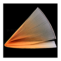 1M Gradient Color Pleated Polyester Trim&nbsp;DIY-WH0308-617