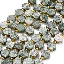 Natural Green Spot Jasper Beads Strands&nbsp;G-F833-B05-01