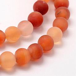 艶消し天然赤瑪瑙ビーズ連売り  ラウンド  染め＆加熱  レッド  8mm  穴：1mm  約48個/連  15.2インチ&nbsp;G-F372-8mm