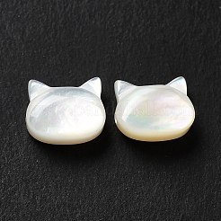 Natural White Shell Beads&nbsp;SHEL-G014-10B-02