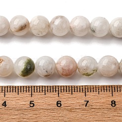 Natural White Moonstone Beads Strands&nbsp;G-I388-01-8mm