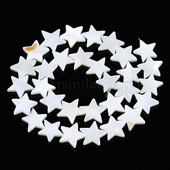 Natural Freshwater Shell Beads Strands&nbsp;SHEL-S278-01D-01