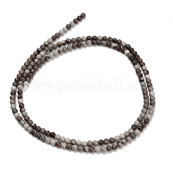 天然赤樹状ジャスパービーズ連売り  ラウンド  2~2.5mm  穴：0.5mm  約174~178個/連  14.96''~15.16''（38~38.5センチメートル）&nbsp;G-Z116-A27-2mm