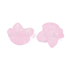 Frosted Transparent Acrylic Beads&nbsp;X1-OACR-P029-18B-01