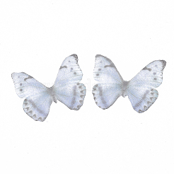 Polyester Fabric Wings Crafts Decoration&nbsp;X-FIND-S322-005A-01