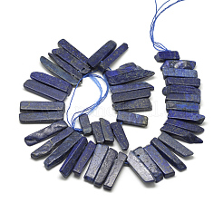 Natural Lapis Lazuli Beads Strands&nbsp;G-R419-12