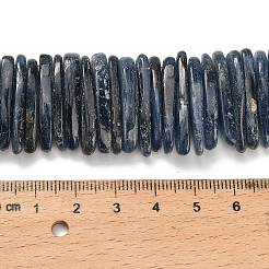 Natural Kyanite Beads Strands&nbsp;G-H335-F01