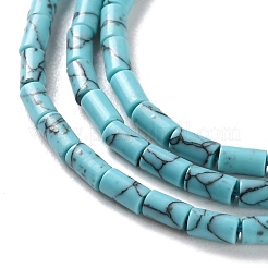 Dyed Synthetic Turquoise Beads Strands&nbsp;G-B124-A01-01