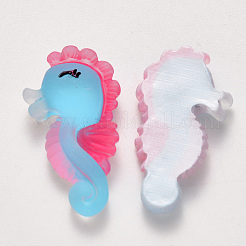 Translucent Frosted Resin Cabochons&nbsp;X-CRES-N022-10