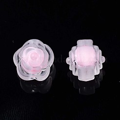 Transparent Acrylic Beads&nbsp;TACR-S135-016