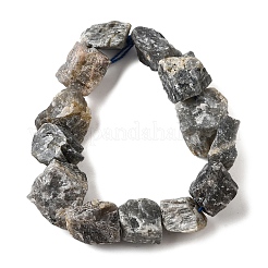 Natural Labradorite Beads Strands&nbsp;G-S386-C07