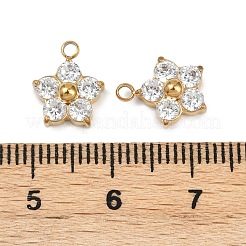 304 Stainless Steel Micro Pave Cubic Zirconia Charms&nbsp;STAS-B088-01G-02