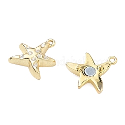 Starfish Brass Micro Pave Clear Cubic Zirconia Magnetic Clasps&nbsp;KK-C251-10G